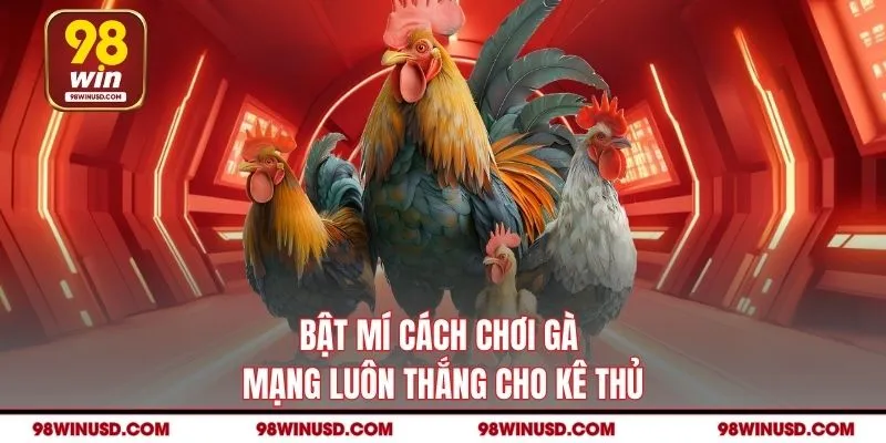 Bật mí cách chơi gà mạng luôn thắng cho kê thủ
