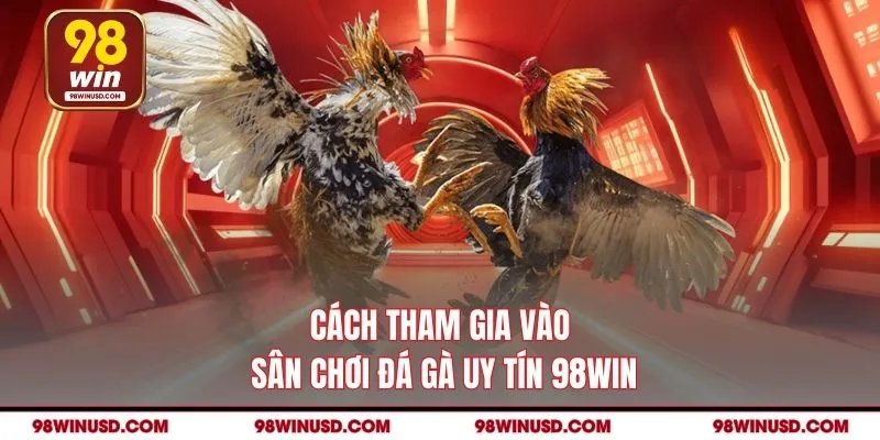 Cách tham gia vào sân chơi đá gà uy tín 98win