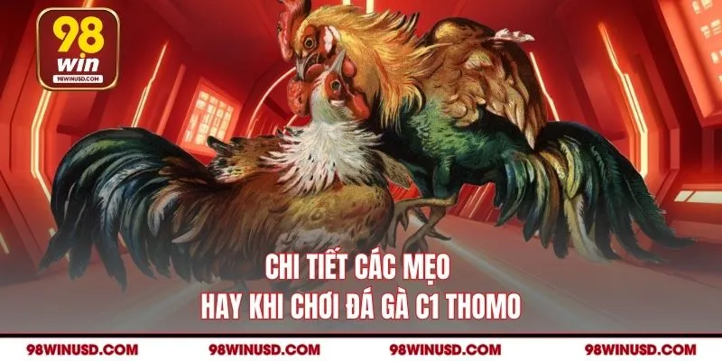 Chi tiết các mẹo hay khi chơi đá gà C1 Thomo