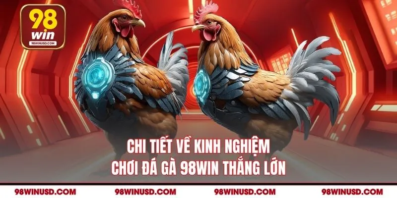 Chi tiết về kinh nghiệm chơi Đá gà 98WIN thắng lớn