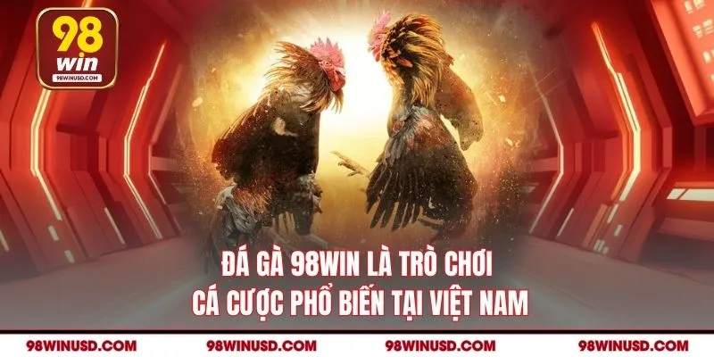 Đá gà 98WIN là trò chơi cá cược phổ biến tại Việt Nam