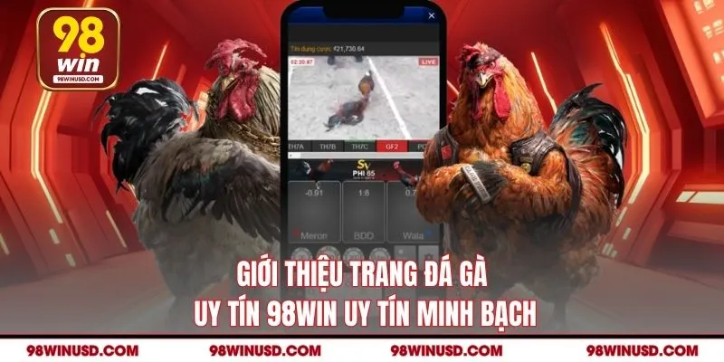 Giới thiệu trang đá gà uy tín 98win uy tín minh bạch
