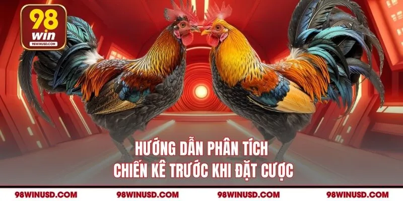Hướng dẫn phân tích chiến kê trước khi đặt cược