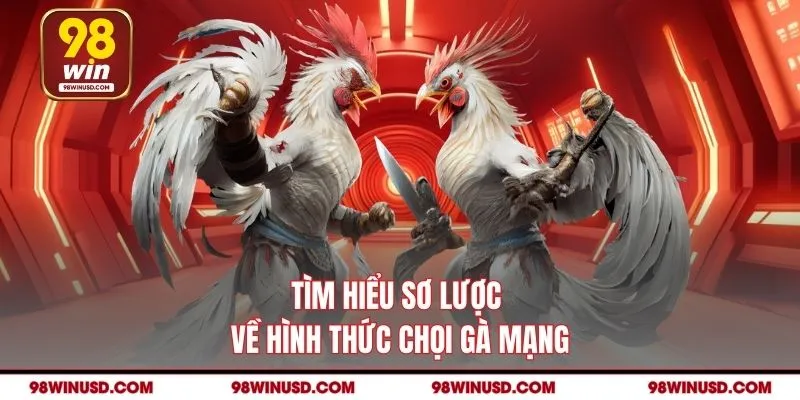 Tìm hiểu sơ lược về hình thức chọi gà mạng
