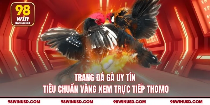 Trang Đá Gà Uy Tín 98WIN- Tiêu Chuẩn Vàng Xem Trực Tiếp Thomo